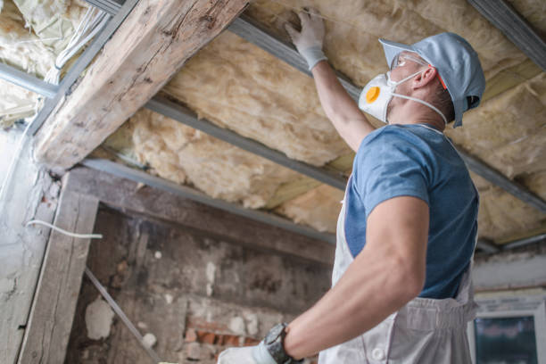 Best Attic Insulation Installation  in Lawrenceburg, KY
