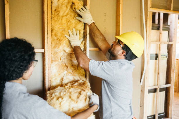 Best Attic Insulation Installation  in Lawrenceburg, KY