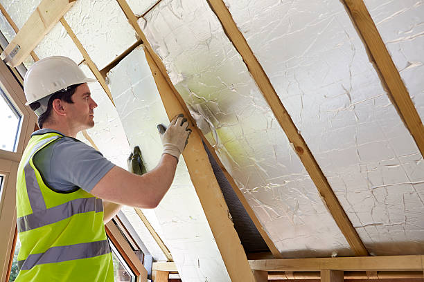 Best Insulation Removal  in Lawrenceburg, KY